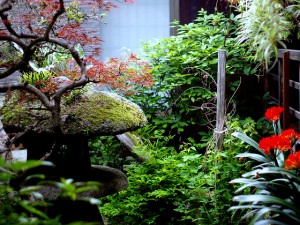 Jak zaaranżować ogród w stylu japońskim 2
